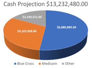 cash projection edit